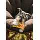 60020365-Brinquedo-Pelucia-Pizza-Amb-5