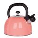007704-Chaleira-Aco-Inox-25L-Mattina-Sort-Pessego-1
