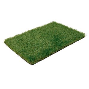 50005303-Grama-Sitetica-1x5m-30mm-1