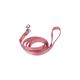 60020001-Guia-PP-Rosa-3